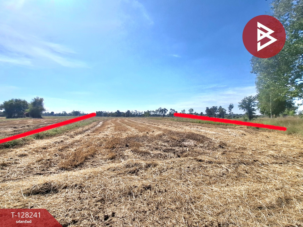 Land for sale, area 3 rai 1 ngan 5 sq m, Changhan, Roi Et. – รูปที่ 4