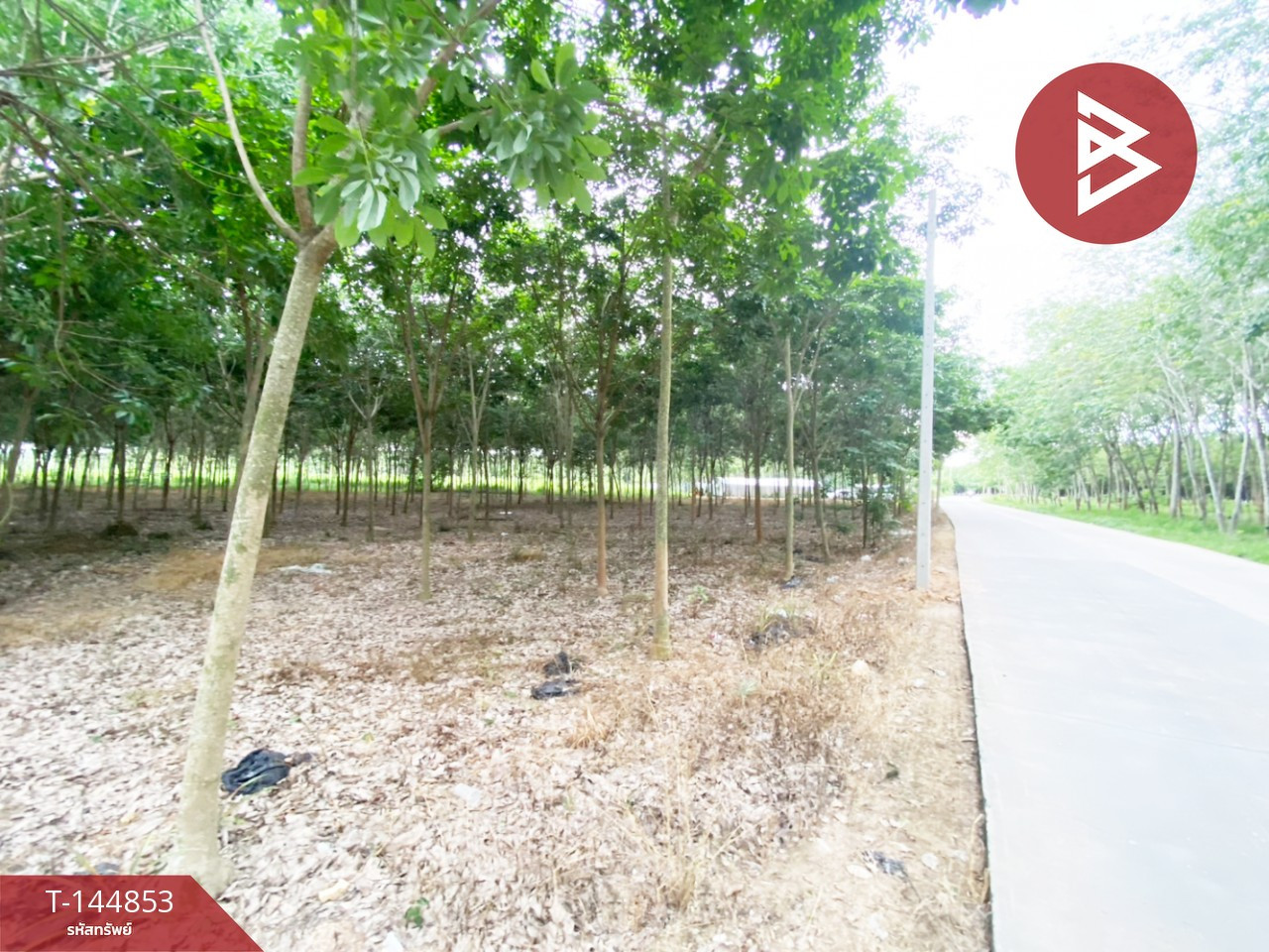 ขายด่วนที่ดิน เนื้อที่ 6 ไร่ 1 งาน 59 ตร.วา บ้านค่าย ระยอง – รูปที่ 3