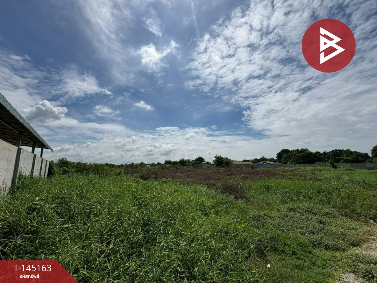 Land for sale, area 21 rai 2 ngan 47.4 square wah, Bang Phai, Chachoengsao. – รูปที่ 2