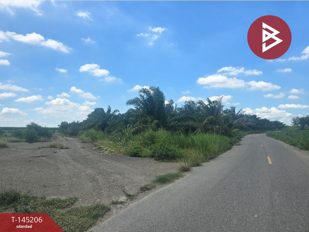 Land for sale, area 10 rai, Plaeng Yao District, Chachoengsao, green area, next to a paved road. – รูปที่ 4