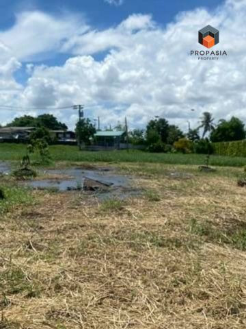 Land for sale Thana City 1 rai 39 sq m | 65,000 baht/sq m | Premium location, Bangna, near Suvarnabhumi Airport. Land for sale Thana City 1 rai 39 sq m | 65,000 baht/sq m | Premium location, Bangna, near Suvarnabhumi Airport.