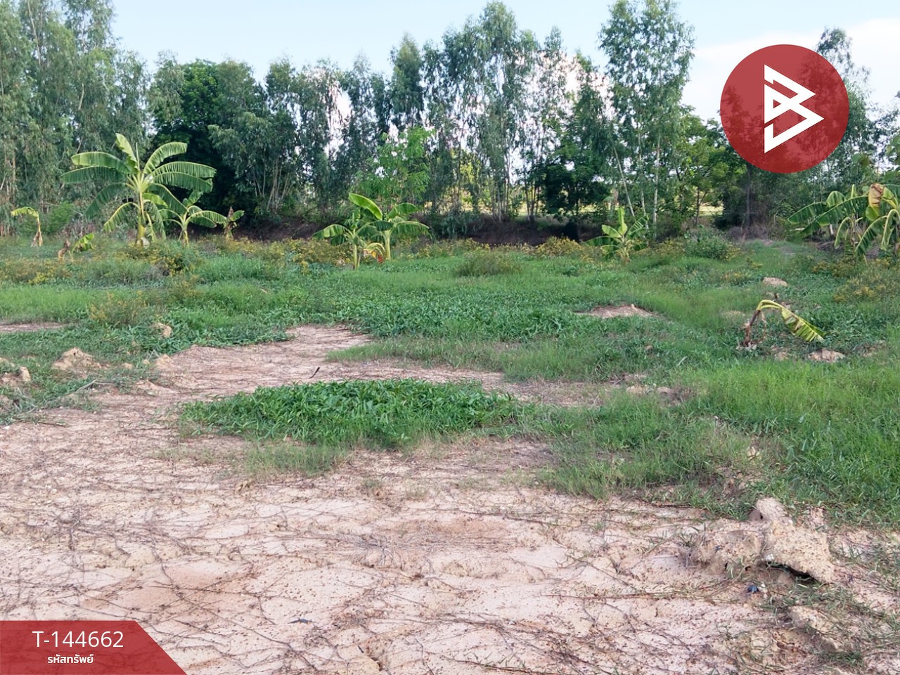 Land for sale, area 3 rai 30.9 square wa, Nong Ya Sai, Suphan Buri. – รูปที่ 2