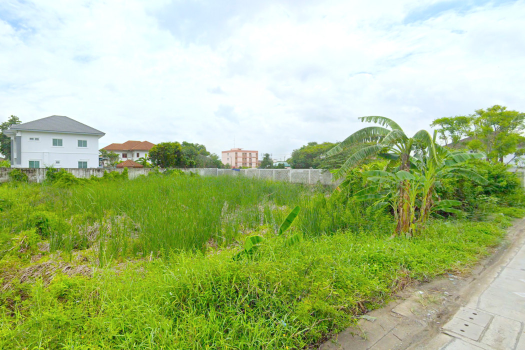 ขาย ที่ดิน ซอย รามอินทรา 65 แยก 2 ขนาด 200 ตรว ใกล้ MRT รามอินทรา กม.6 แค่ 950 ม. DD – รูปที่ 3