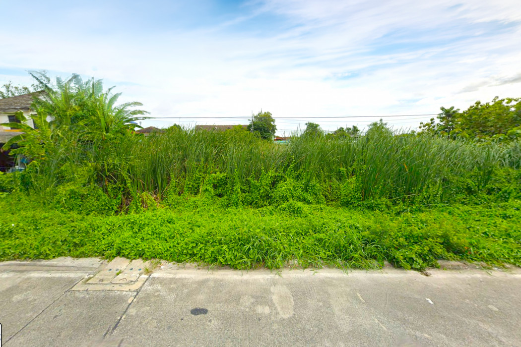 ขาย ที่ดิน ซอยปั้นทองนิเวศน์ 3 คูคต ลำลูกกา 320 ตรว ใกล้ถนนลำลูกกาแค่ 3.4 กม. DD – รูปที่ 3