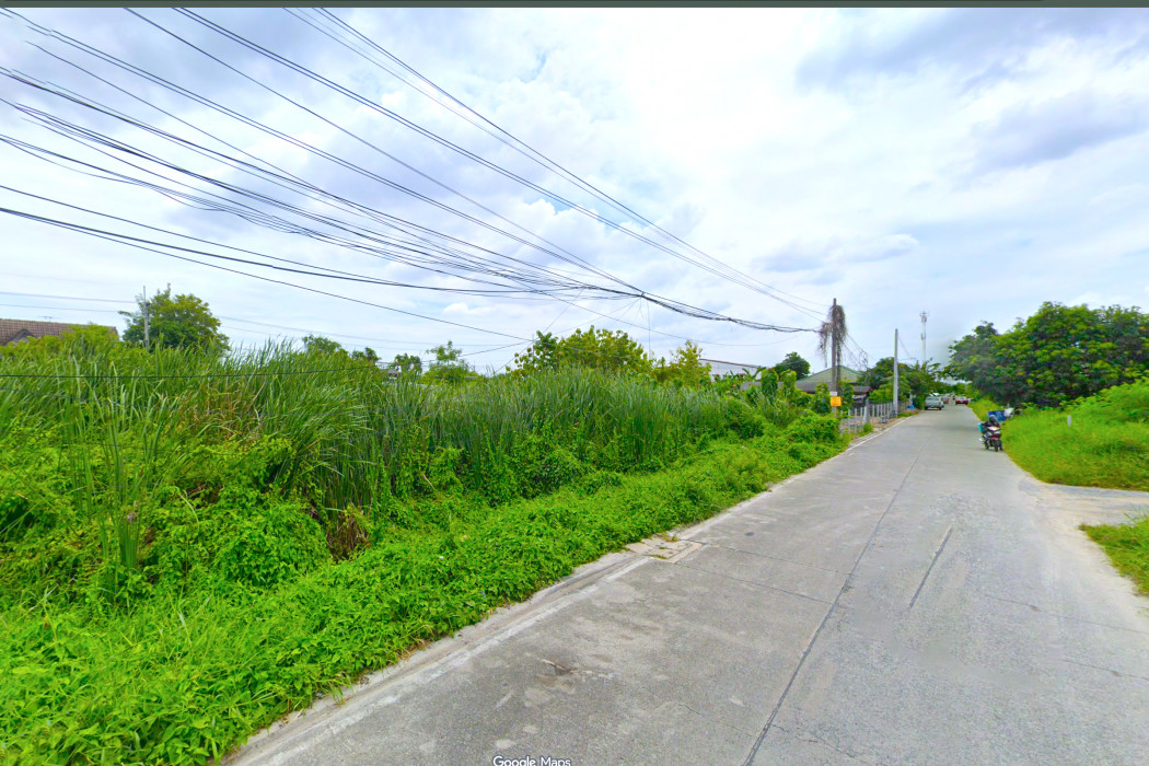 ขาย ที่ดิน ซอยปั้นทองนิเวศน์ 3 คูคต ลำลูกกา 320 ตรว ใกล้ถนนลำลูกกาแค่ 3.4 กม. DD – รูปที่ 4