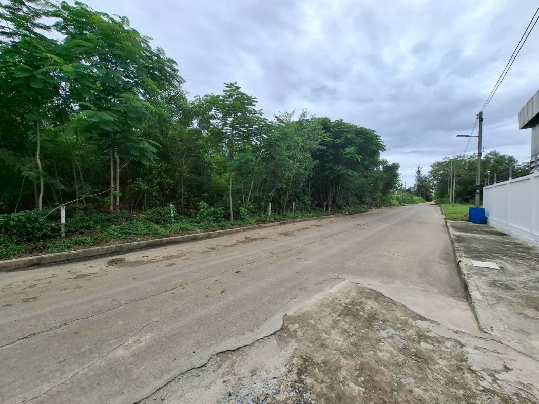 ขาย ที่ดิน คลองสอง ปทุมธานี 2 ไร่ ใกล้ถนนเอราวัณ 1 เพียง 400 เมตร DD – รูปที่ 2