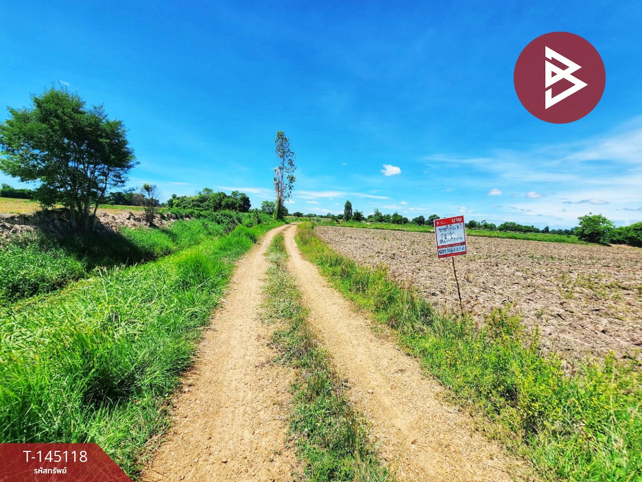 Land for sale, area 7 rai 2 ngan 94 sq m, Wat Sing, Chainat. – รูปที่ 3