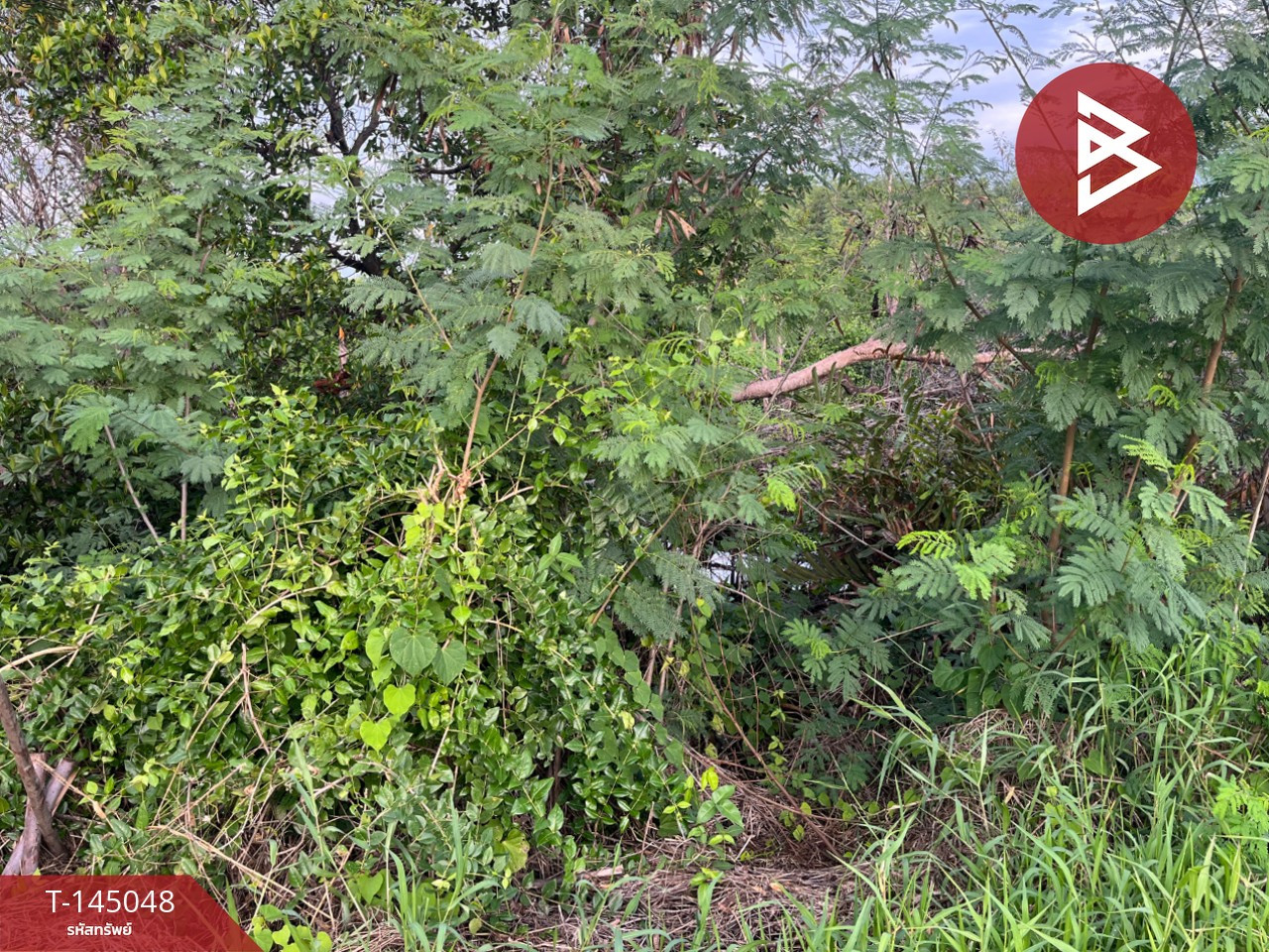 Land for sale, area 32 rai 2 ngan 22.1 sq m, Ban Pho, Chachoengsao. – รูปที่ 3