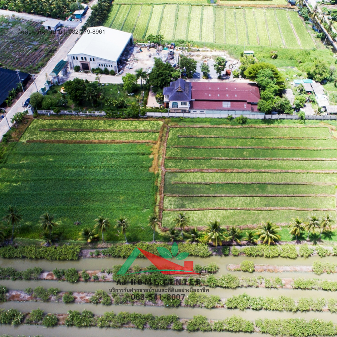 Empty land for sale, 5-0-47 rai, pink layout, next to the road on 2 sides, Soi Bang Yang Subdistrict Administrative Organization, price ready to negotiate. – รูปที่ 4