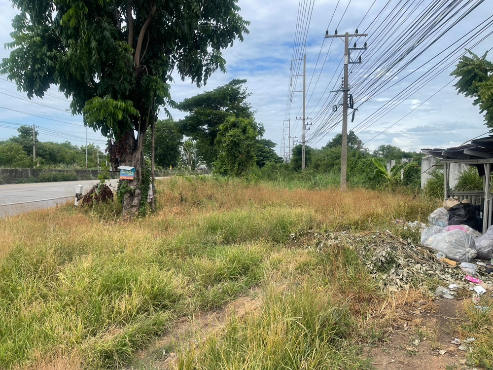 ขายที่ดินถมแล้ว 17 ไร่ แยกนพวงศ์ ลาดหลุมแก้ว ปทุมธานี ขายที่ดินถมแล้ว 17 ไร่ แยกนพวงศ์ ลาดหลุมแก้ว ปทุมธานี