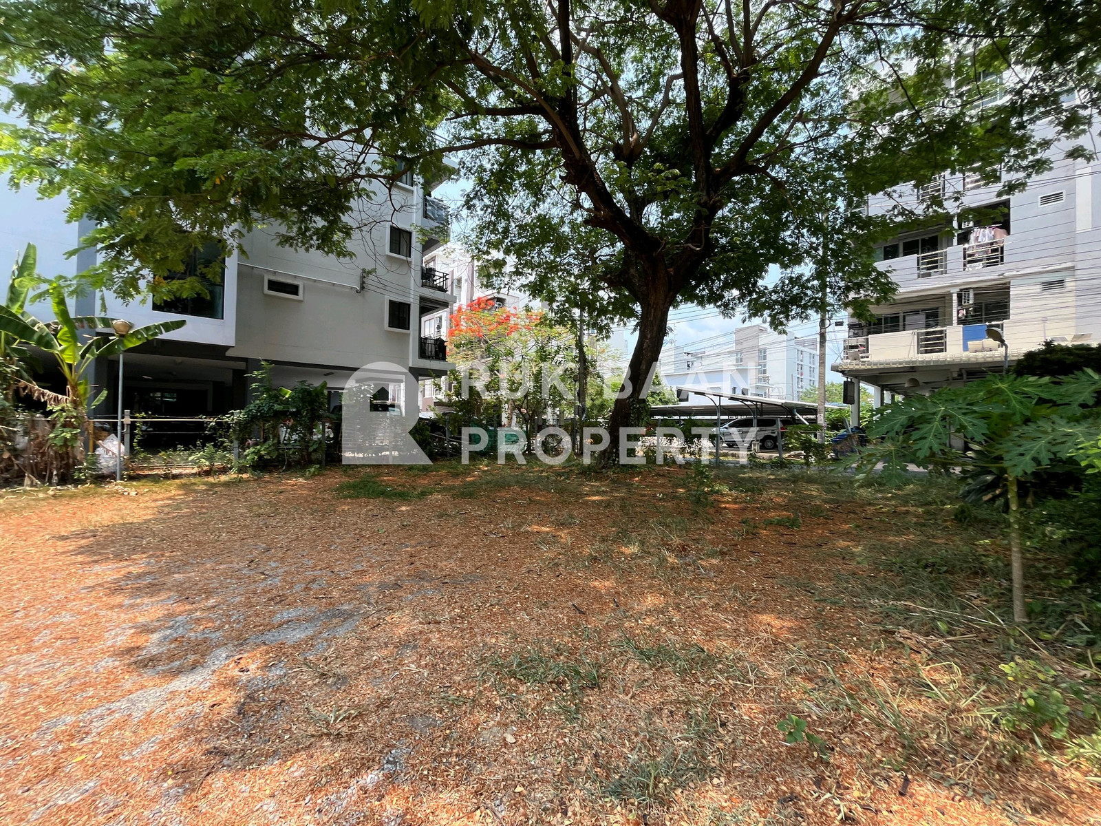 ขายที่ดิน/SALE✨ ที่ดิน ซอยประดิษฐ์มนูธรรม 6 – รูปที่ 4