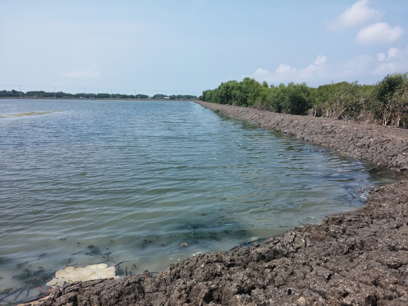 Empty land for sale, 17 rai 3 ngan, Rama 2–Bang Khun Thian, large location. Empty land for sale, 17 rai 3 ngan, Rama 2–Bang Khun Thian, large location.