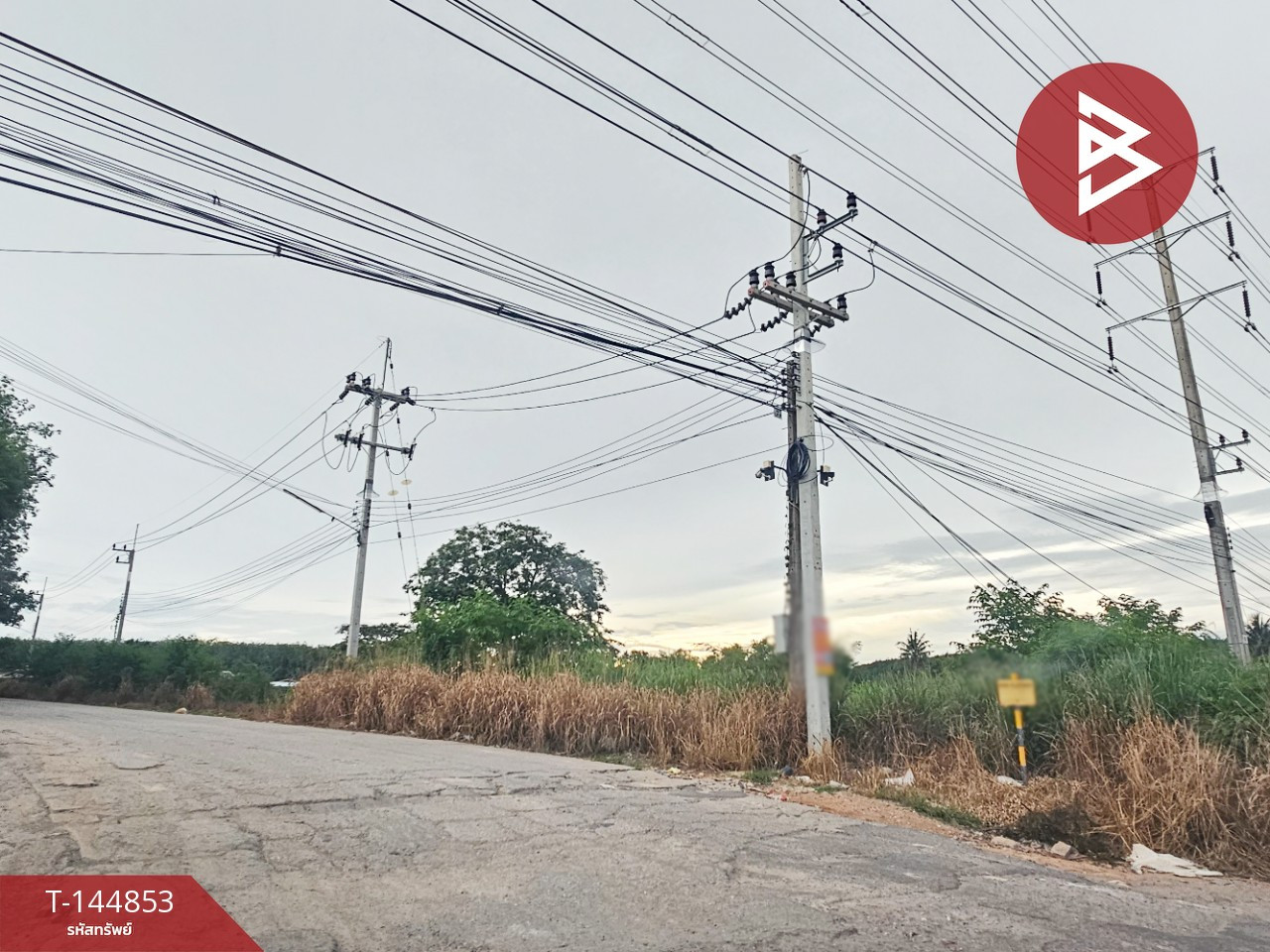 ขายด่วนที่ดิน เนื้อที่ 6 ไร่ 1 งาน 59 ตร.วา บ้านค่าย ระยอง – รูปที่ 4