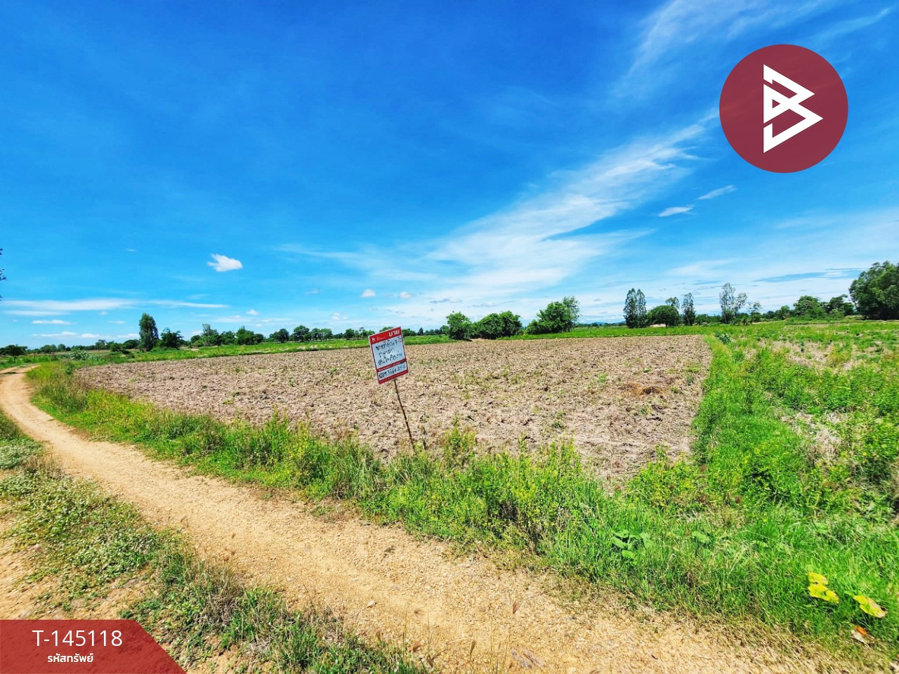 Land for sale, area 7 rai 2 ngan 94 sq m, Wat Sing, Chainat. – รูปที่ 4