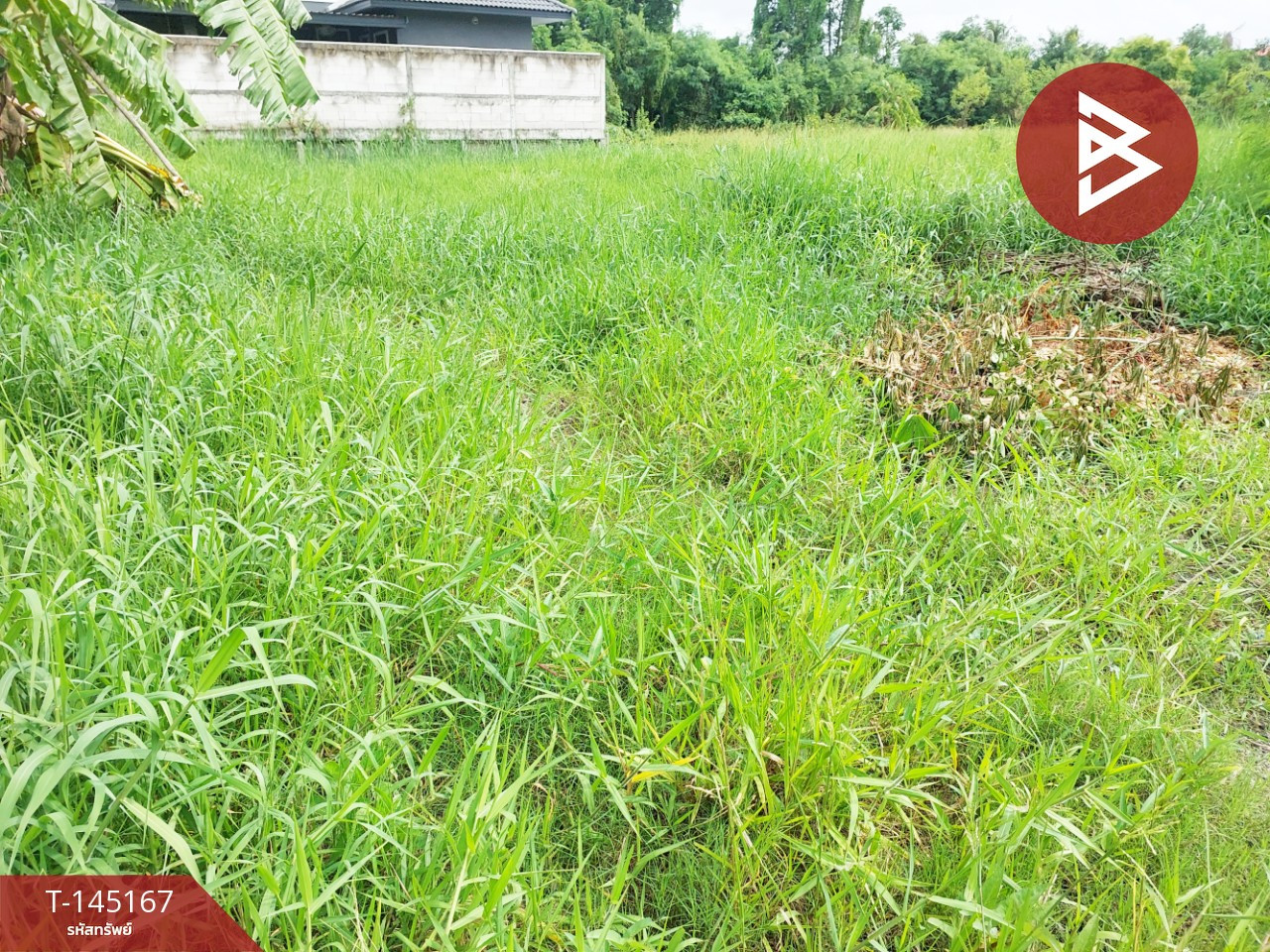 ขายที่ดิน เนื้อที่ 1 งาน มีนบุรี กรุงเทพมหานคร – รูปที่ 2