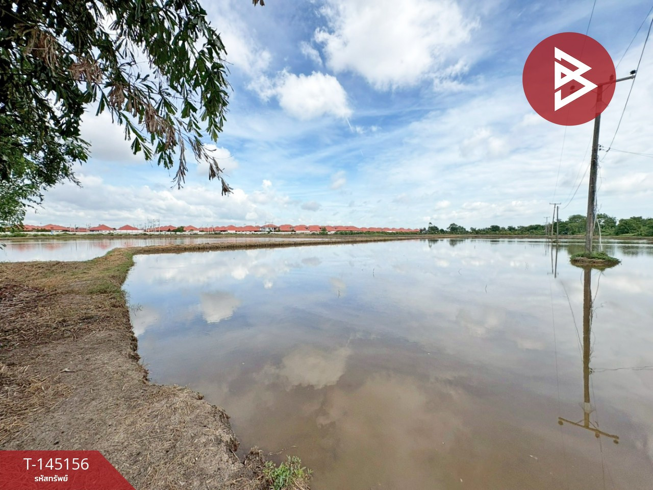 ขายที่ดิน เนื้อที่ 45 ไร่ 2 งาน 63.7 ตารางวา ท่าไข่ ฉะเชิงเทรา – รูปที่ 2