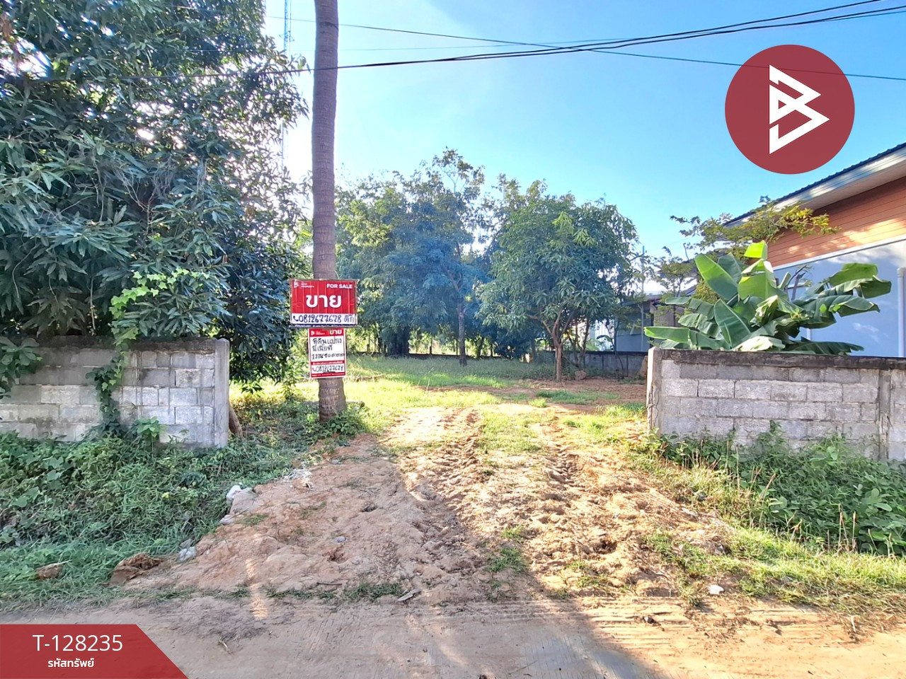 ขายที่ดิน เนื้อที่ 1 งาน 90 ตร.วา จังหาร ร้อยเอ็ด ขายที่ดิน เนื้อที่ 1 งาน 90 ตร.วา จังหาร ร้อยเอ็ด