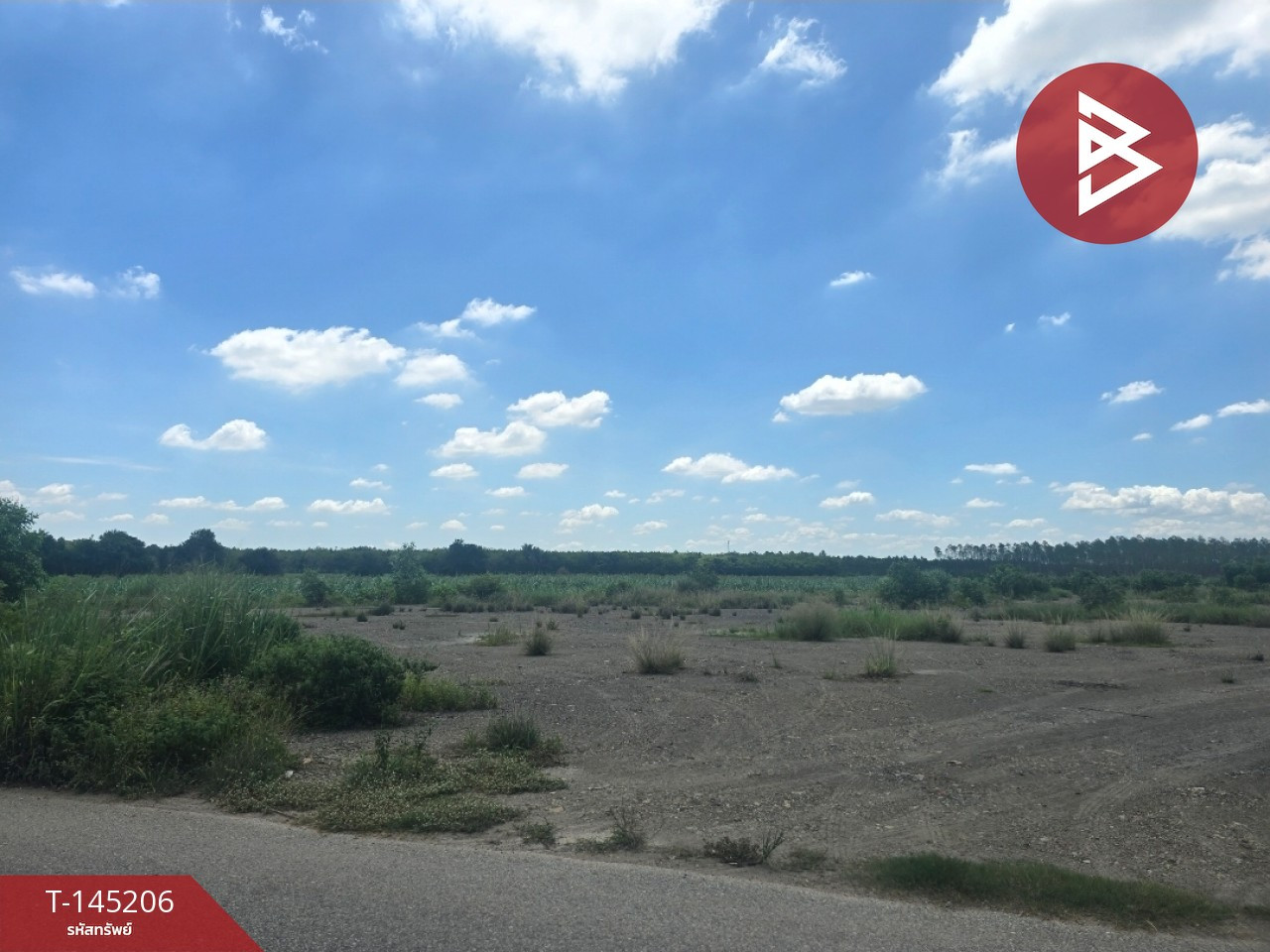Land for sale, area 10 rai, Plaeng Yao District, Chachoengsao, green area, next to a paved road. – รูปที่ 2