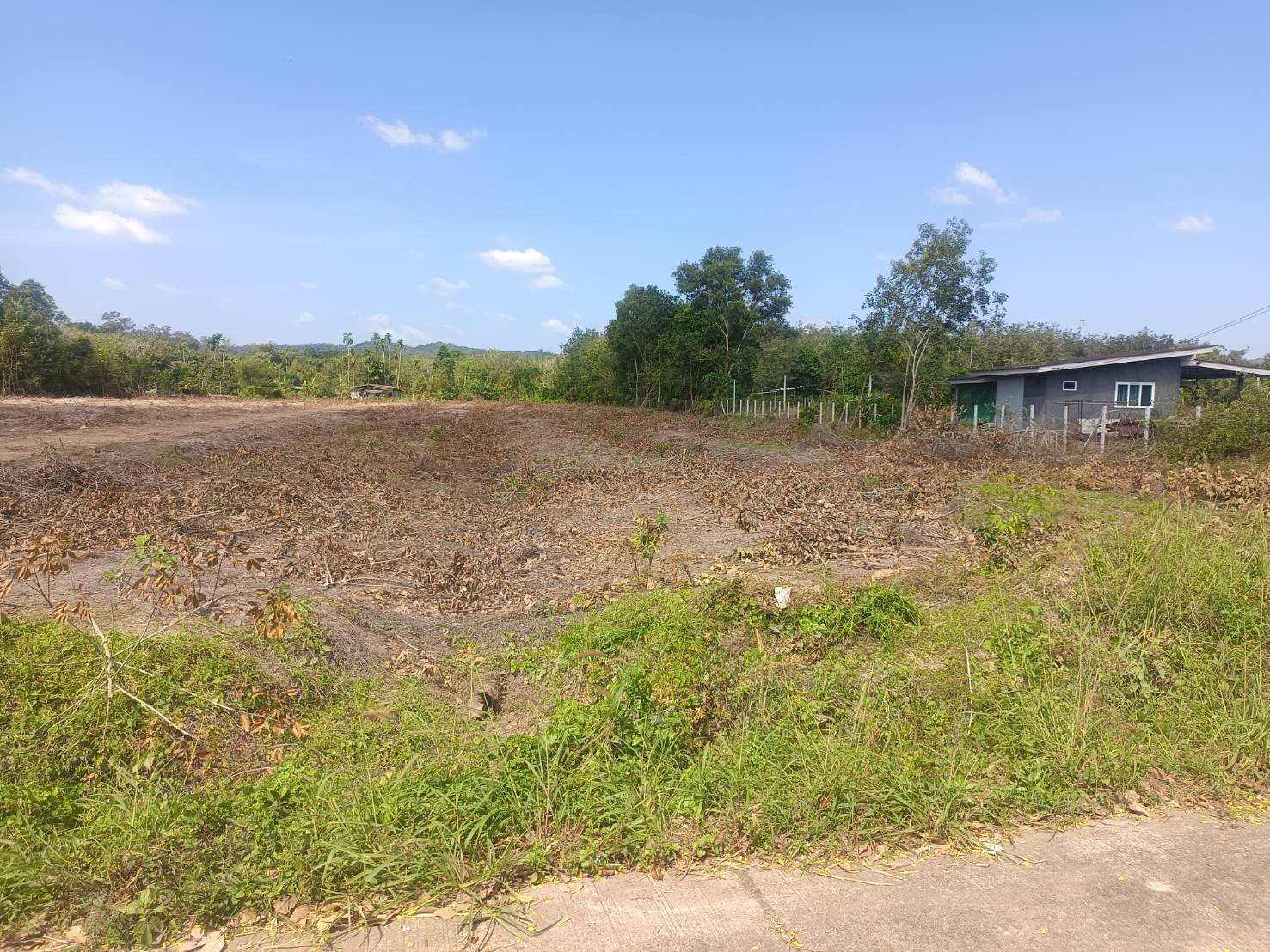Land for sale, 5 rai 20 sq m, Chak Phong, Klaeng District, Rayong, can be sold separately, price only 9 million baht. – รูปที่ 3