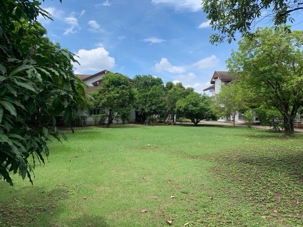 Land for Sale in Kalapapruek Near Kanchanaphisek Ring Road with Existing 2 Buildings Yellow Zone Yor.8 for Business Development