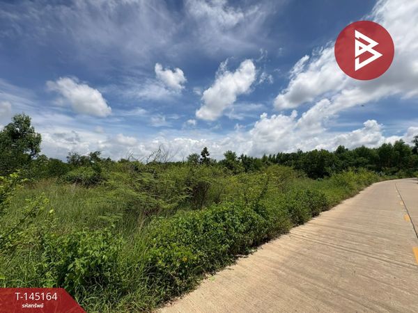 Land for sale, area 34 rai 23 square wah, Khanun Island, Phanom Sarakham, Chachoengsao.