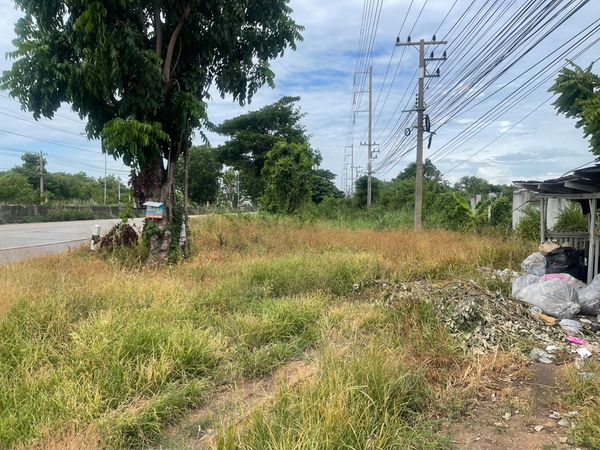 ขายที่ดินถมแล้ว 17 ไร่ แยกนพวงศ์ ลาดหลุมแก้ว ปทุมธานี