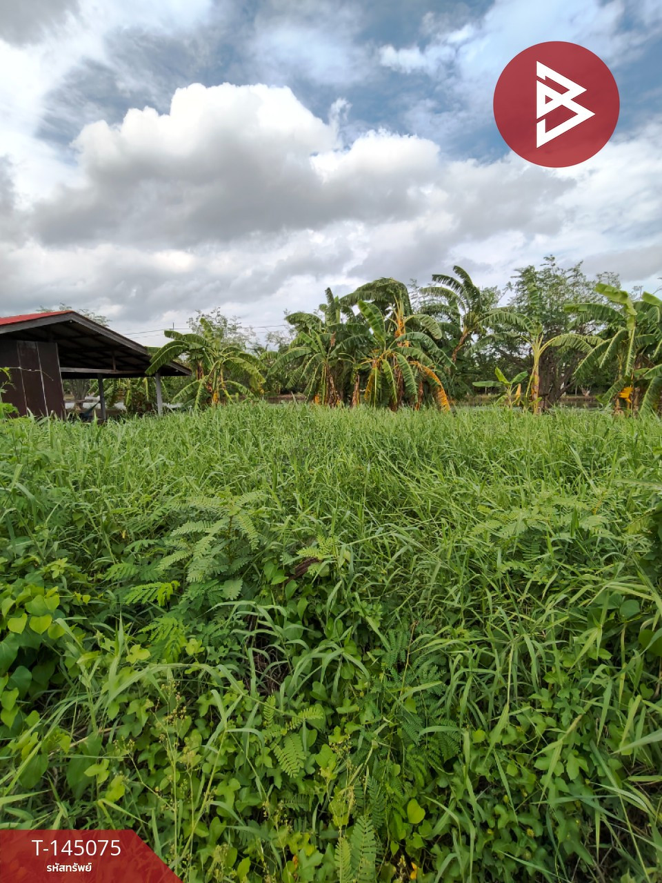 ขายที่ดิน เนื้อที่ 1 งาน บางพลี สมุทรปราการ – รูปที่ 3