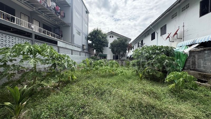 ที่ดินเปล่า ซอย ประดับศุข ใกล้โรบินสันศรีสมาน ทำเลดี ราคาถูก – รูปที่ 4
