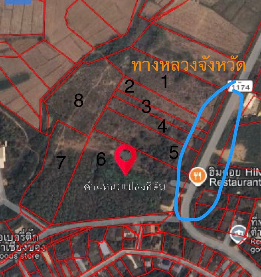 ขายที่ดิน 34 ไร่ อ.เชียงของ จ.เชียงราย ติดถนนทางหลวง ใกล้ด่านศุลกากรและรถไฟรางคู่ เหมาะทำศูนย์โลจิสติกส์ – รูปที่ 4