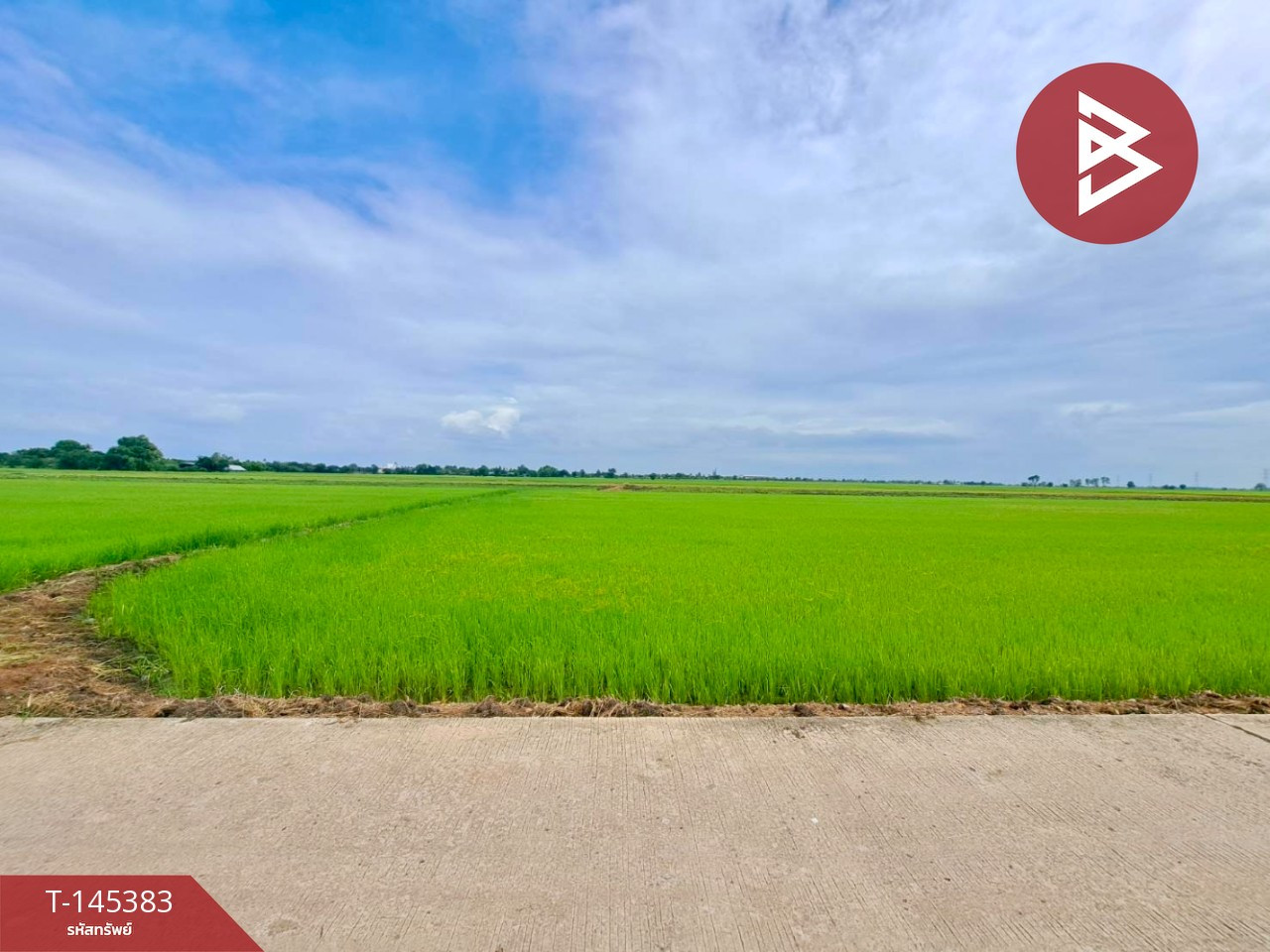 ขายที่ดินการเกษตร เนื้อที่ 17 ไร่ 71 ตร.วา เขตชุมชน อ.ตาคลี จ.นครสวรรค์ ขายที่ดินการเกษตร เนื้อที่ 17 ไร่ 71 ตร.วา เขตชุมชน อ.ตาคลี จ.นครสวรรค์