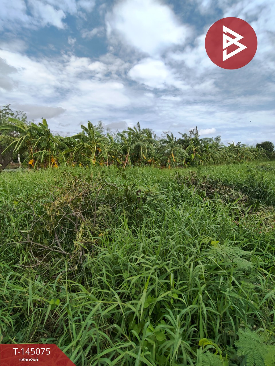 ขายที่ดิน เนื้อที่ 1 งาน บางพลี สมุทรปราการ – รูปที่ 2