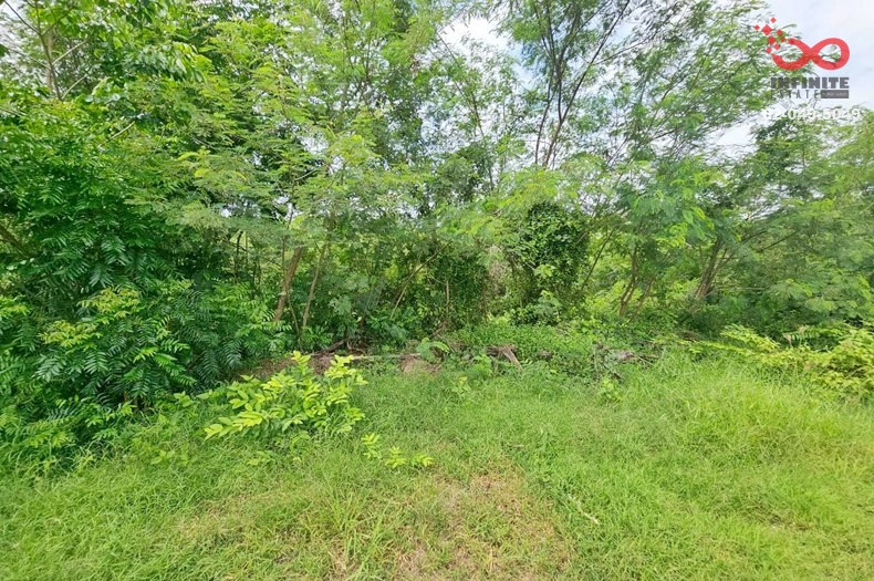 Empty land for sale, 2 rai, Lam Luk Ka, Khlong 11, Pathum Thani, near Lam Luk Ka Golf Course. – รูปที่ 3