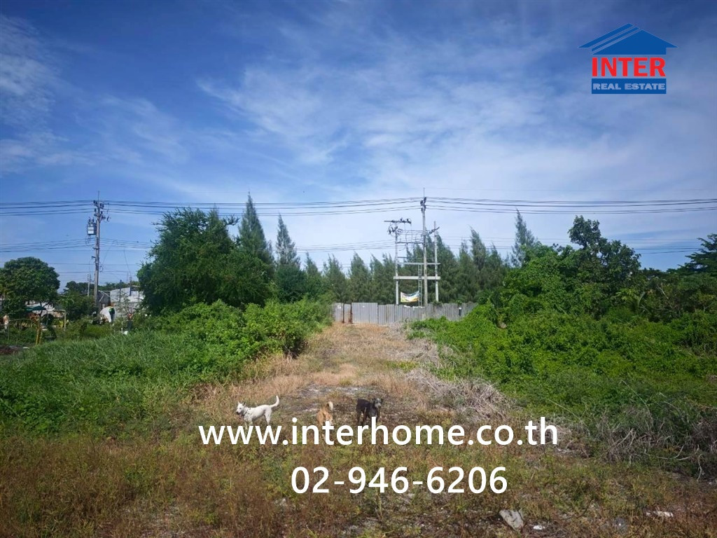 Empty land 800 sq m. Land near Ramathibodi Chakri Naruebodin Hospital. Road along the Suvarnabhumi Water Canal, Theparak Road, Km. 19, Khlong 5 Intersection, Bang Phli, Samut Prakan – รูปที่ 2