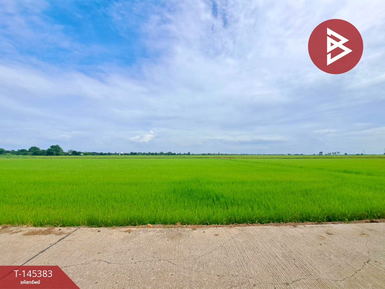 ขายที่ดินการเกษตร เนื้อที่ 17 ไร่ 71 ตร.วา เขตชุมชน อ.ตาคลี จ.นครสวรรค์ – รูปที่ 4
