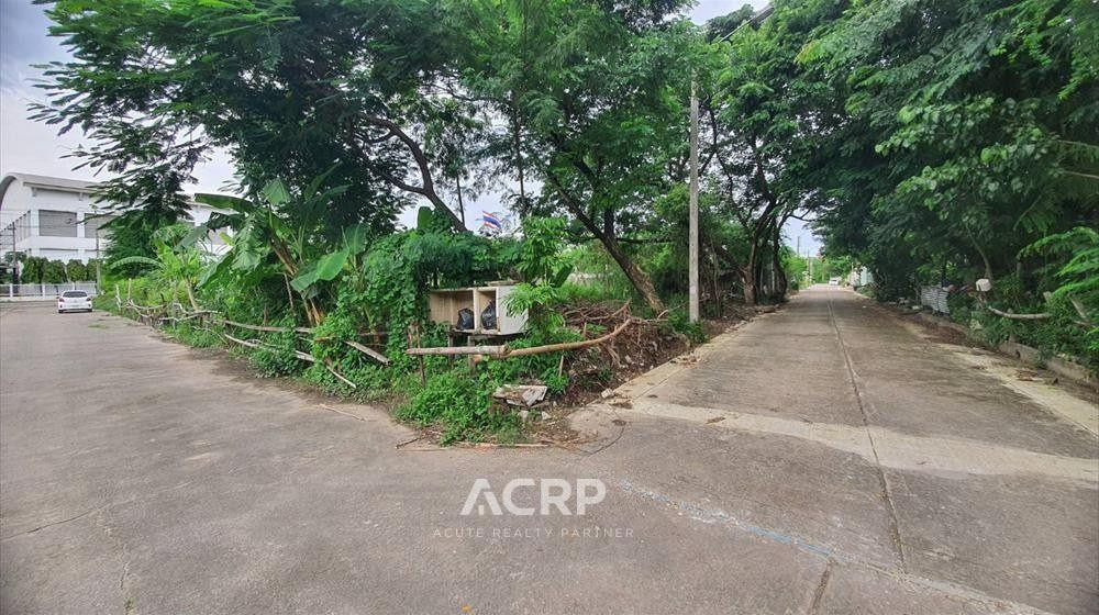 ขายที่ดินเปล่า ถมแล้ว ซอย รามคำแหง 118 แยก 48 เนื้อที่ 244 ตร.ว. – รูปที่ 3