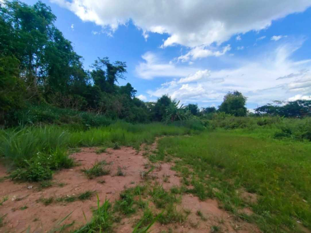 Beautiful plot of land for sale, size 3 rai 2 ngan 23 square wah, Mae Taeng, Chiang Mai. – รูปที่ 4