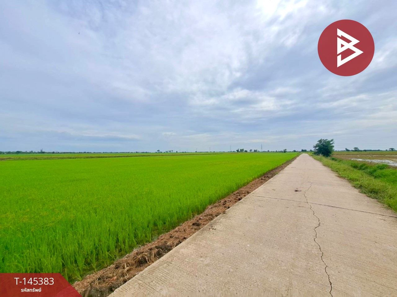 ขายที่ดินการเกษตร เนื้อที่ 17 ไร่ 71 ตร.วา เขตชุมชน อ.ตาคลี จ.นครสวรรค์ – รูปที่ 3