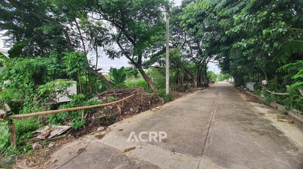 ขายที่ดินเปล่า ถมแล้ว ซอย รามคำแหง 118 แยก 48 เนื้อที่ 244 ตร.ว. – รูปที่ 2
