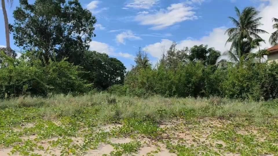 Land for sale next to Bang Son Beach, 5 rai 1 ngan 70 square wah, next to Sara Resort, Chumphon Province, beautiful location, suitable for investment. – รูปที่ 3