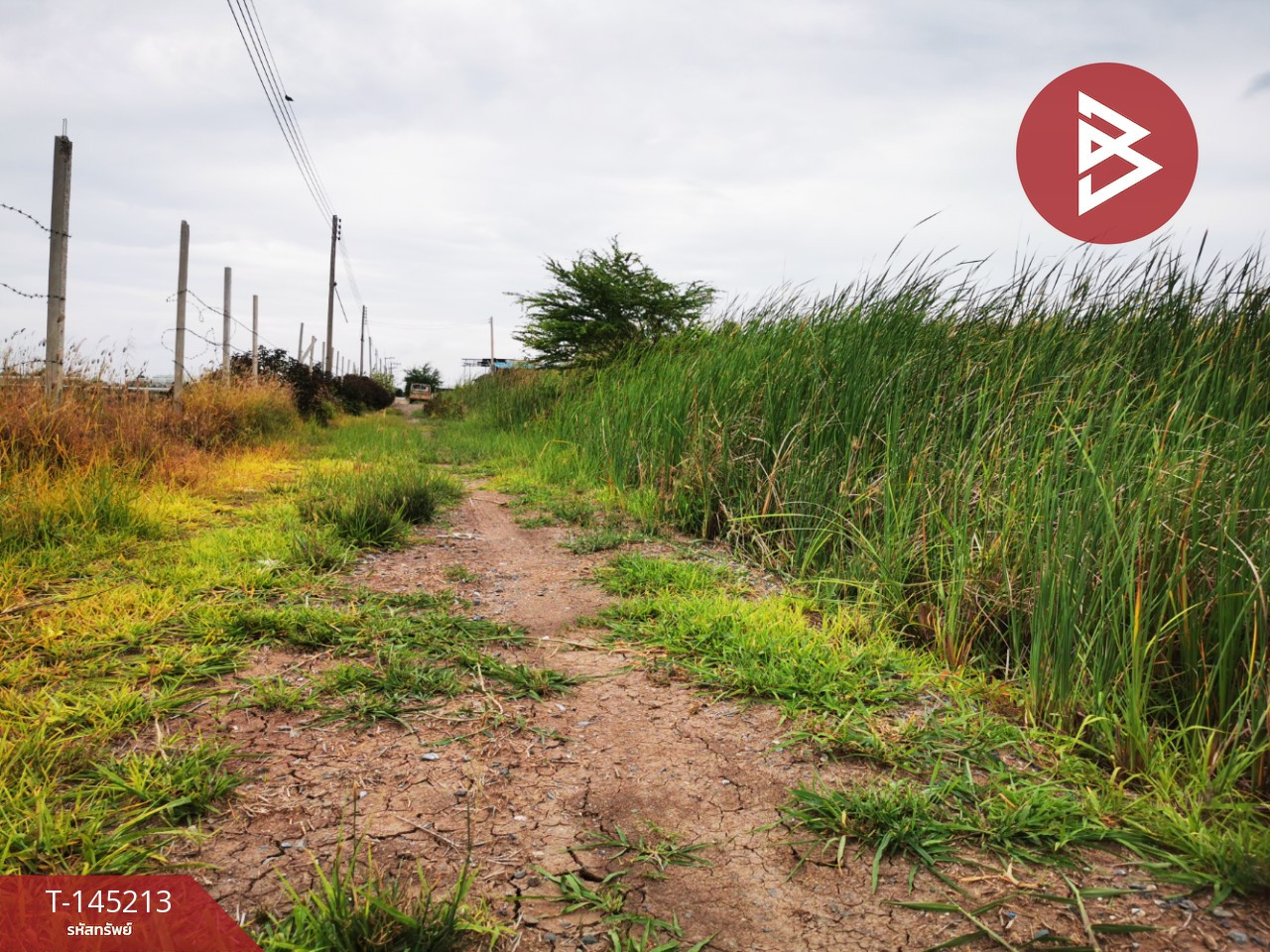 Land for sale, area 1 ngan, Bua Pak Tha Subdistrict, Bang Len District, Nakhon Pathom Province. Land for sale, area 1 ngan, Bua Pak Tha Subdistrict, Bang Len District, Nakhon Pathom Province.