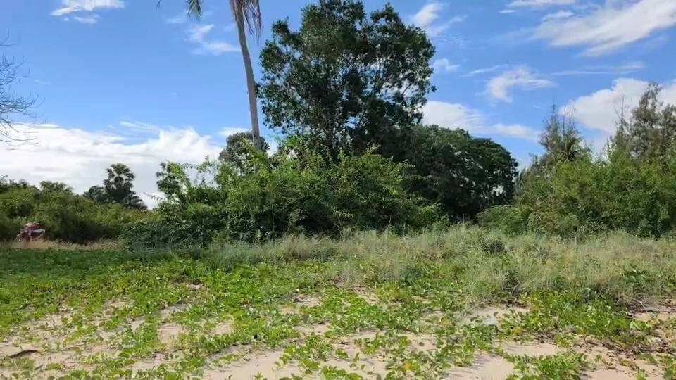 Land for sale next to Bang Son Beach, 5 rai 1 ngan 70 square wah, next to Sara Resort, Chumphon Province, beautiful location, suitable for investment. – รูปที่ 2