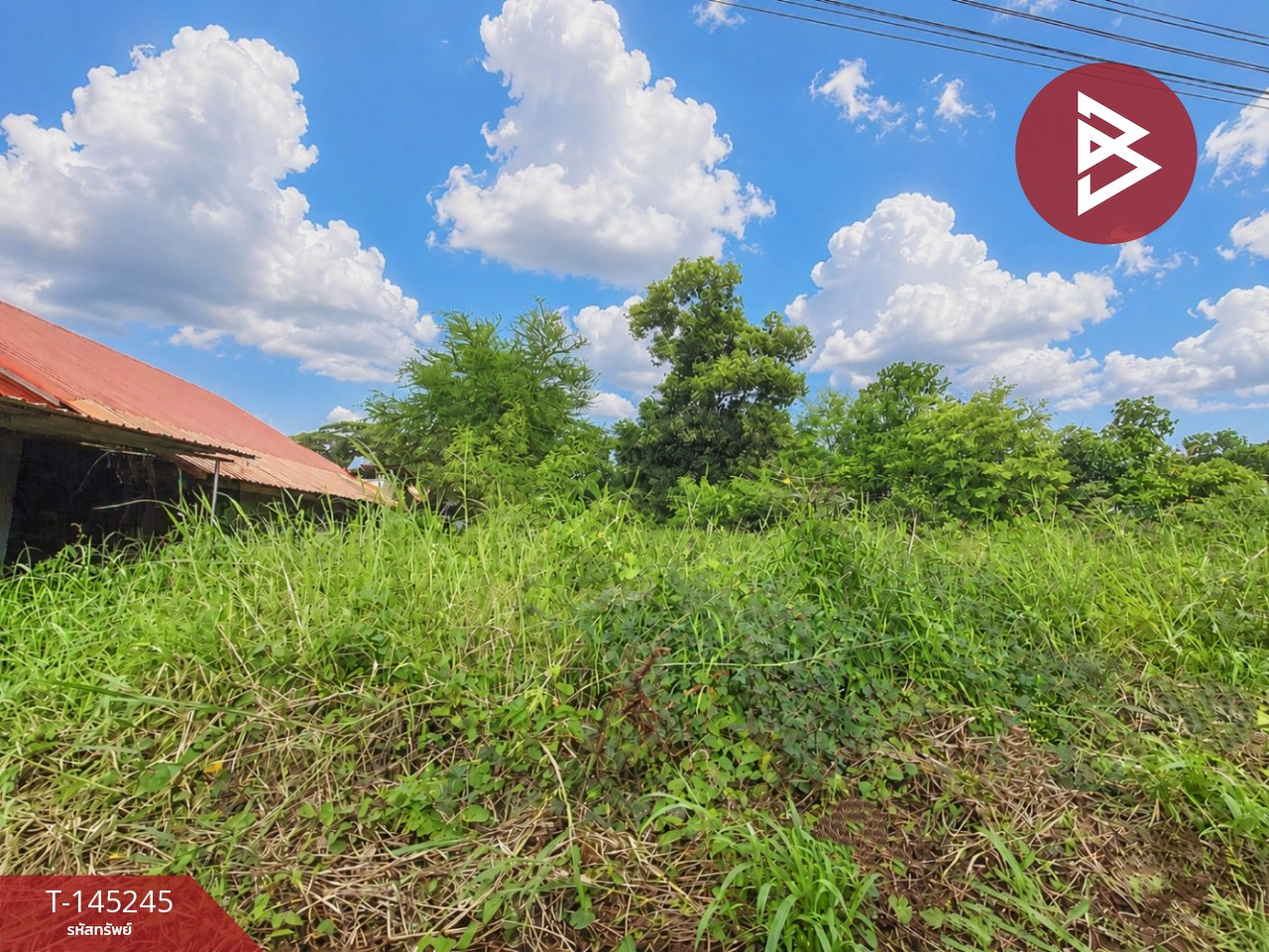 ขายที่ดิน เนื้อที่ 1 งาน 2.2 ตร.วา ท่าบ่อ หนองคาย – รูปที่ 4