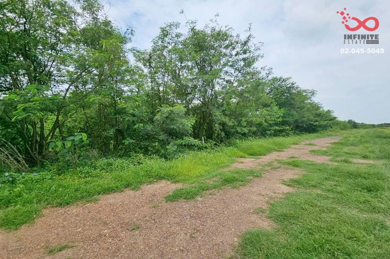 Empty land for sale, 2 rai, Lam Luk Ka, Khlong 11, Pathum Thani, near Lam Luk Ka Golf Course. Empty land for sale, 2 rai, Lam Luk Ka, Khlong 11, Pathum Thani, near Lam Luk Ka Golf Course.