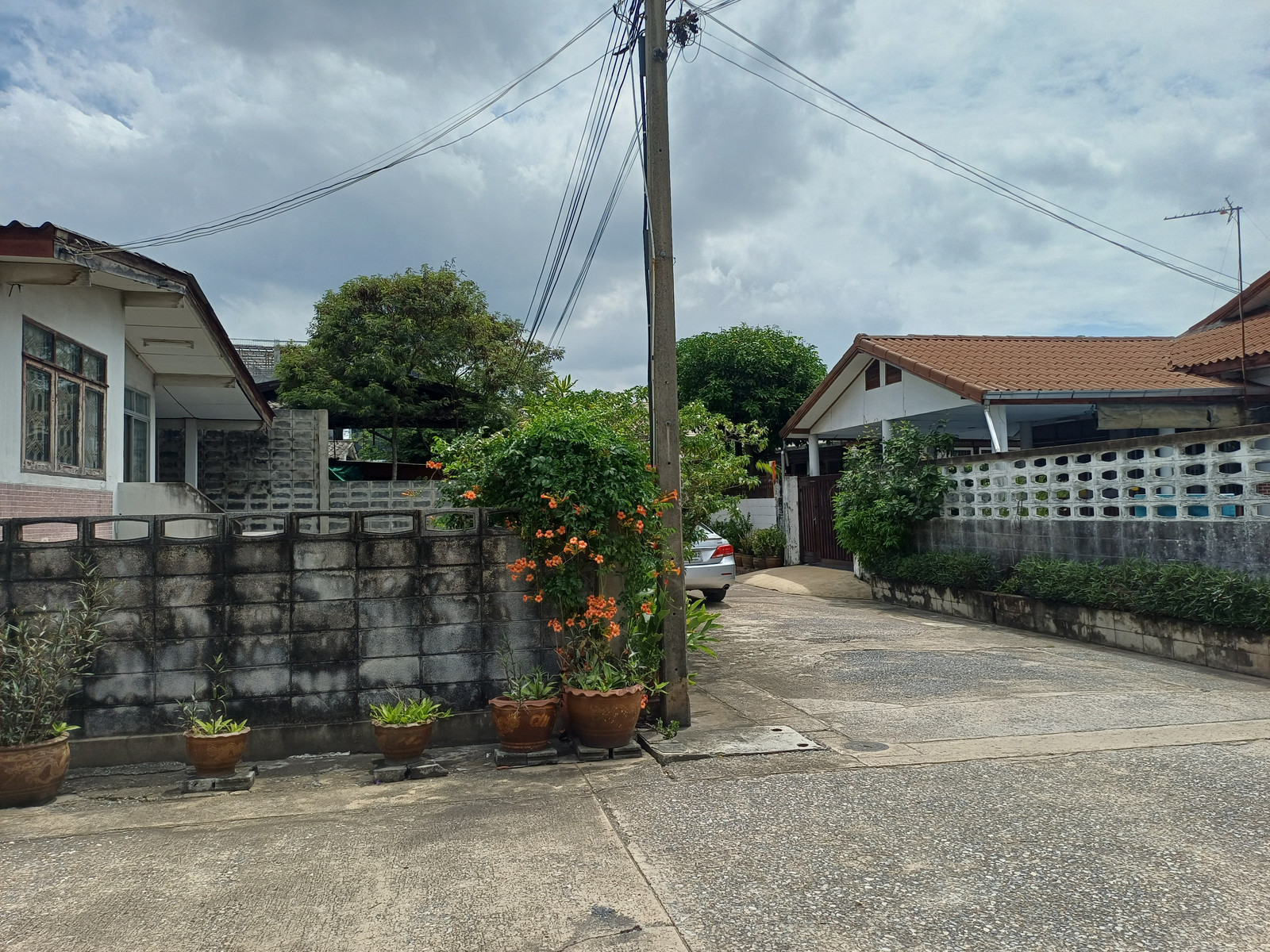 ขาย บ้านเดี่วชั้นเดียว   54 ตรว   ซอย ประเสิรฐมนูกิจ 19 แยก 9   ห่างจากถนนประเสิรฐมนูกิจ   150 เมตร  – รูปที่ 2