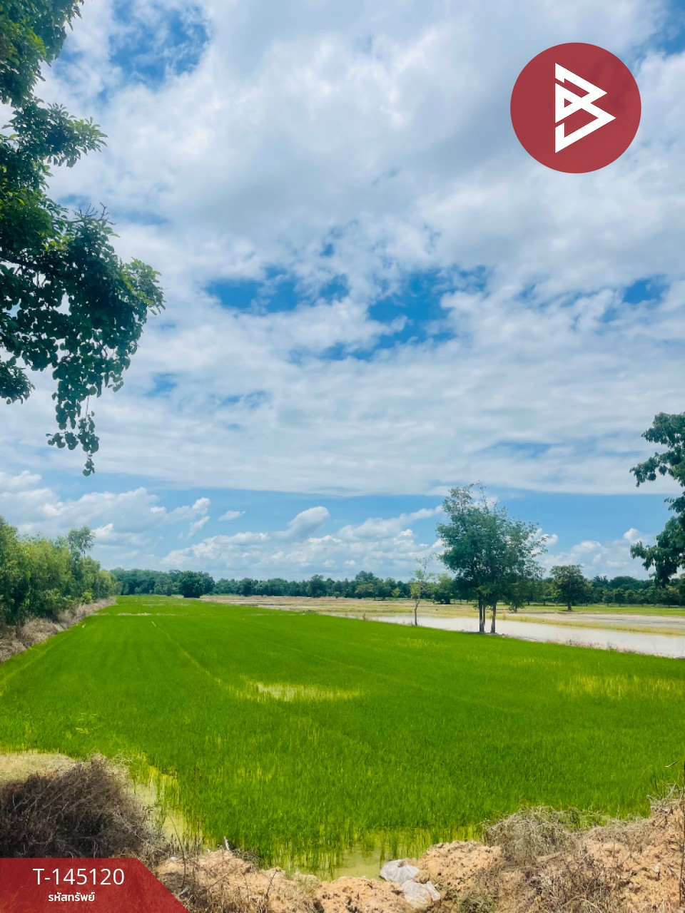 ขายที่ดิน 11 ไร่ 2 งาน 21 ตารางวา ต.ดอนแตง ขาณุวรลักษบุรี กำแพงเพชร – รูปที่ 2