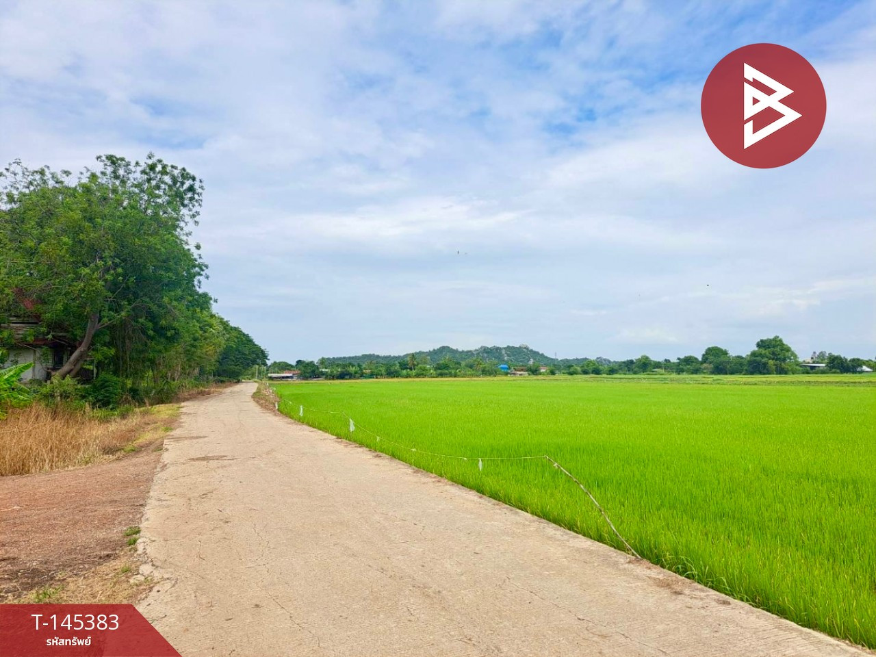 ขายที่ดินการเกษตร เนื้อที่ 17 ไร่ 71 ตร.วา เขตชุมชน อ.ตาคลี จ.นครสวรรค์ – รูปที่ 2