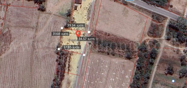 Land 260 sq m, rural highway road P.P.4016, good location, very cheap price. – รูปที่ 3