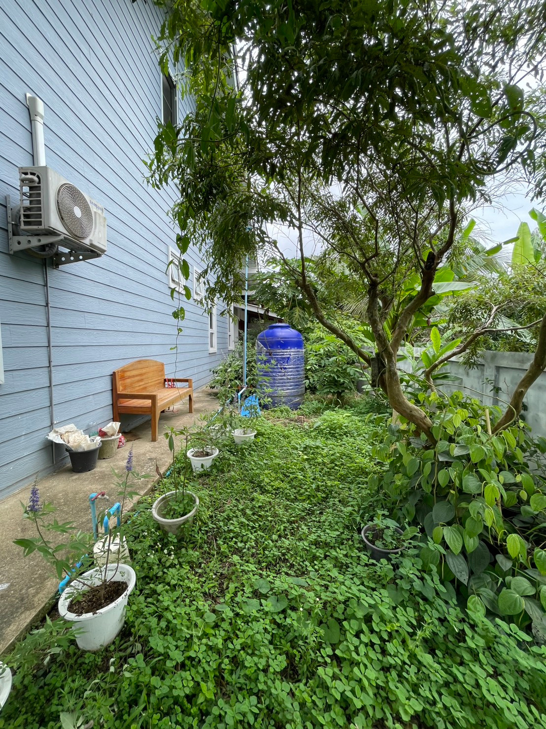 ขายด่วน! บ้านเดี่ยวสไตล์คอทเทจ 4 ห้องนอน พื้นที่กว้างจุใจ 168 ตร.ว. ต.จันจว้า อ.แม่จัน จ.เชียงราย บรรยากาศร่มรื่น น่าอยู่มาก – รูปที่ 4