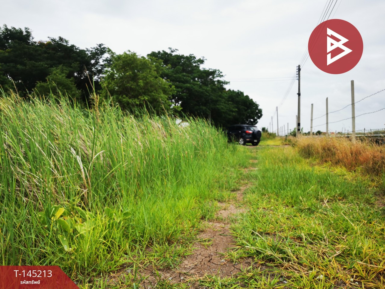 ขายที่ดิน เนื้อที่ 1 งาน ต.บัวปากท่า อ.บางเลน จ.นครปฐม – รูปที่ 4