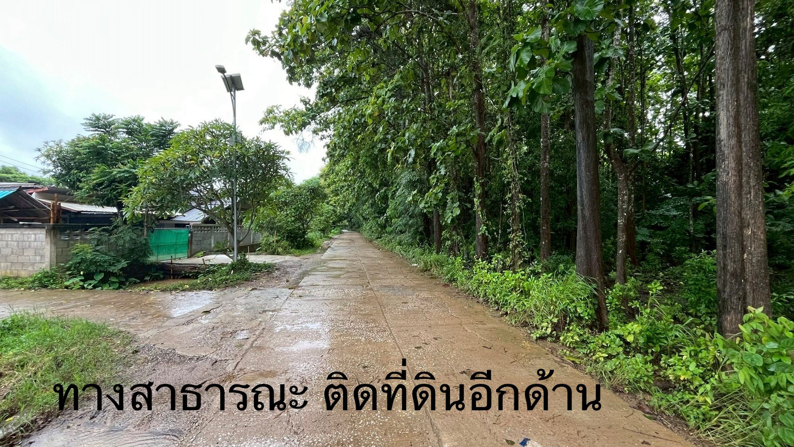 ขายที่ดิน 34 ไร่ อ.เชียงของ จ.เชียงราย ติดถนนทางหลวง ใกล้ด่านศุลกากรและรถไฟรางคู่ เหมาะทำศูนย์โลจิสติกส์ – รูปที่ 3